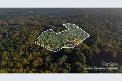 Vacant Harrington Road, Wadesboro, NC 28170 - Photo 1