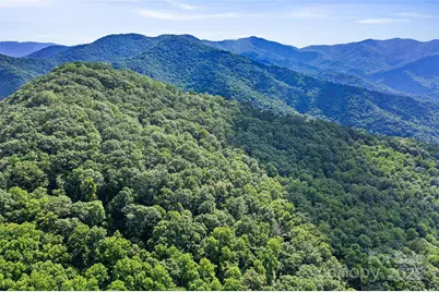 99999 Moody Cove Road, Weaverville, NC 28787 - Photo 13