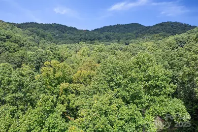 99999 Moody Cove Road, Weaverville, NC 28787 - Photo 21