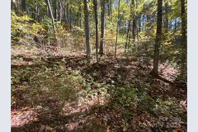 99999 Moody Cove Road, Weaverville, NC 28787 - Photo 3