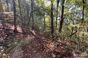 99999 Moody Cove Rd, Weaverville, NC 28787 - Photo 1