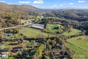 221 Turkey Pen Gap Rd, Horse Shoe, NC 28742 - Photo 21