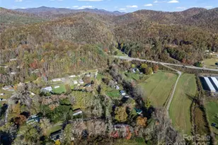 221 Turkey Pen Gap Rd, Horse Shoe, NC 28742 - Photo 23