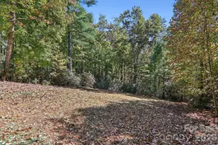 6 Wagon Trce, Flat Rock, NC 28731 - Photo 39