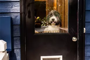 608 Hiawassee Ave, Black Mountain, NC 28711 - Photo 35