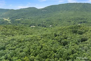 812 Crab Creek Rd, Hendersonville, NC 28739 - Photo 31