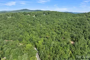 812 Crab Creek Rd, Hendersonville, NC 28739 - Photo 27