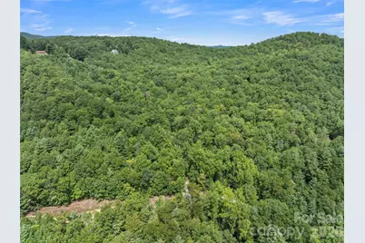 812 Crab Creek Road, Hendersonville, NC 28739 - Photo 3