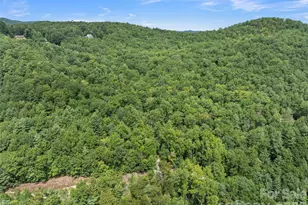 812 Crab Creek Rd, Hendersonville, NC 28739 - Photo 3