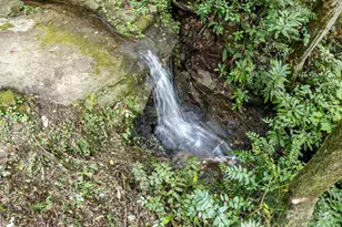 812 Crab Creek Rd, Hendersonville, NC 28739 - Photo 7