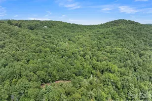 812 Crab Creek Rd, Hendersonville, NC 28739 - Photo 29