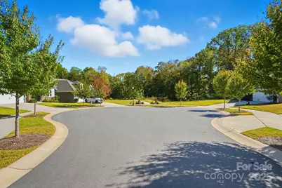 3053 Rosseau Lane, Mount Holly, NC 28120 - Photo 33