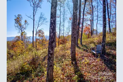 7 Laurel Ledge Way #13, Fletcher, NC 28732 - Photo 5