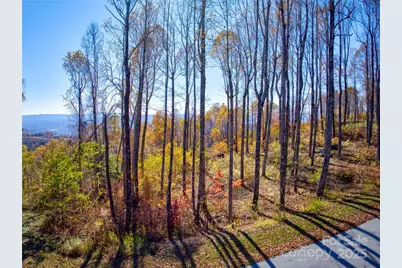 7 Laurel Ledge Way #13, Fletcher, NC 28732 - Photo 17