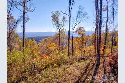 7 Laurel Ledge Way #13, Fletcher, NC 28732 - Photo 25