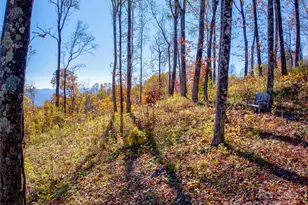 7 Laurel Ledge Wy, Fletcher, NC 28732 - Photo 1