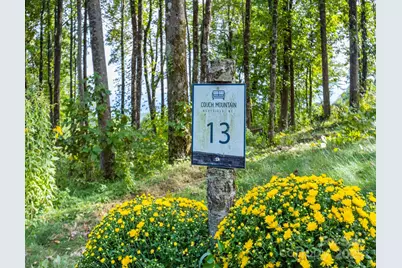 7 Laurel Ledge Way #13, Fletcher, NC 28732 - Photo 7