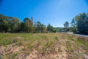 323 Harbor View Dr, Cherryville, NC 28021 - Photo 11