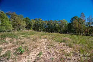 323 Harbor View Dr, Cherryville, NC 28021 - Photo 9