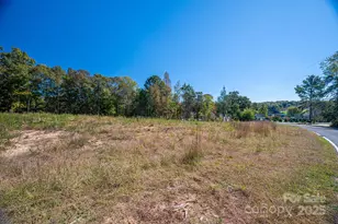 319 Harbor View Dr, Cherryville, NC 28021 - Photo 5