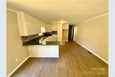 1155 Bridges Drive, Forest City, NC 28043 - Photo 3