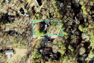 111 Cisco Rd, Asheville, NC 28805 - Photo 29