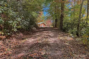 1622 Meadow Fork Rd, Hot Springs, NC 28743 - Photo 29