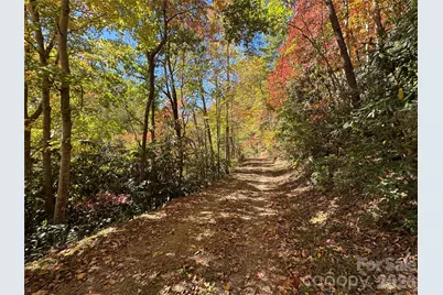 1622 Meadow Fork Road, Hot Springs, NC 28743 - Photo 31