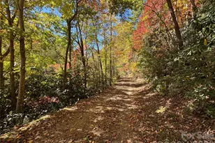 1622 Meadow Fork Rd, Hot Springs, NC 28743 - Photo 31