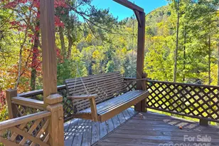 1622 Meadow Fork Rd, Hot Springs, NC 28743 - Photo 5