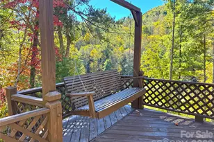 1622 Meadow Fork Rd, Hot Springs, NC 28743 - Photo 5