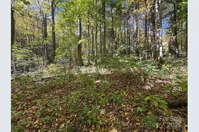 12 Laurel Branch Drive, Black Mountain, NC 28711 - Photo 7