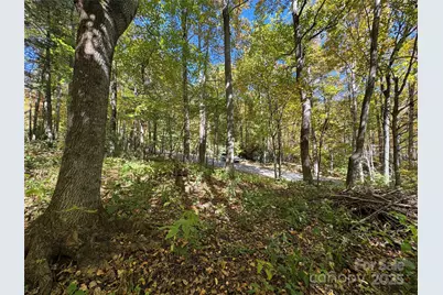 12 Laurel Branch Drive, Black Mountain, NC 28711 - Photo 5