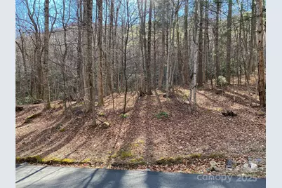 12 Laurel Branch Drive, Black Mountain, NC 28711 - Photo 21