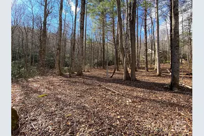 12 Laurel Branch Drive, Black Mountain, NC 28711 - Photo 1