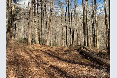 12 Laurel Branch Drive, Black Mountain, NC 28711 - Photo 15