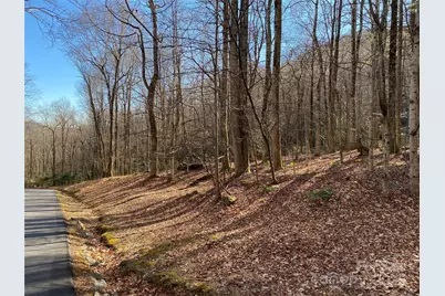 12 Laurel Branch Drive, Black Mountain, NC 28711 - Photo 19
