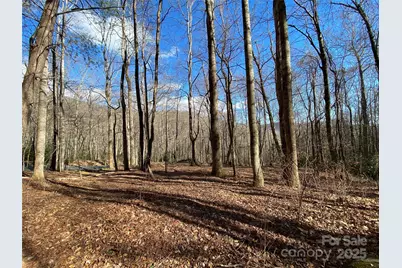 12 Laurel Branch Drive, Black Mountain, NC 28711 - Photo 11