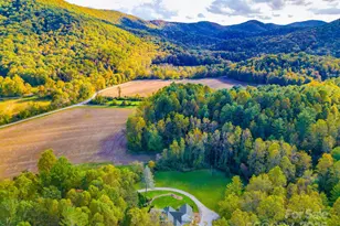 35 Country Wood Way, Horse Shoe, NC 28742 - Photo 45