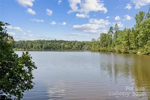 335 Alameda Wy, Matthews, NC 28104 - Photo 47