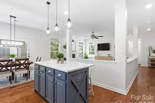 229 Pleasant Grove Ln, Mooresville, NC 28115 - Photo 3