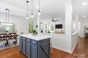 229 Pleasant Grove Ln, Mooresville, NC 28115 - Photo 1