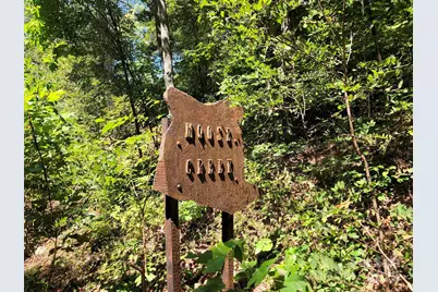 Lots  1-8 Erwin Lane, Waynesville, NC 28785 - Photo 5