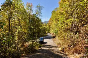 841 Blackthorne Ln, Arden, NC 28704 - Photo 17