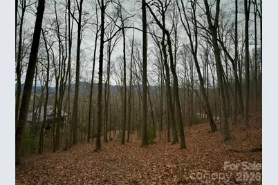 841 Blackthorne Lane, Arden, NC 28704 - Photo 13