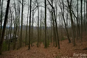 841 Blackthorne Ln, Arden, NC 28704 - Photo 13