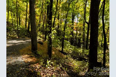 841 Blackthorne Lane, Arden, NC 28704 - Photo 15