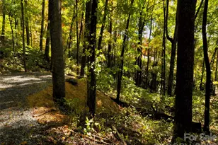841 Blackthorne Ln, Arden, NC 28704 - Photo 15