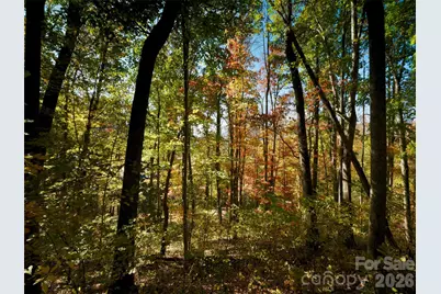 841 Blackthorne Lane, Arden, NC 28704 - Photo 11