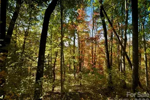 841 Blackthorne Ln, Arden, NC 28704 - Photo 11